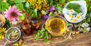 aloelovers-tisana-aloe-vera-herbal-tea