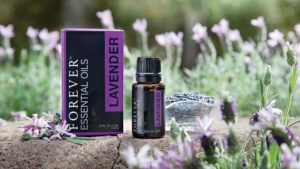 aloelovers-aromaterapia-come-scegliere-e-usare-gli-oli-essenziali-lavender
