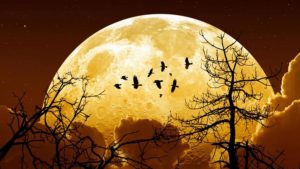 superluna