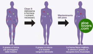 detox-advanced-c9-forever-detossinazione-brand