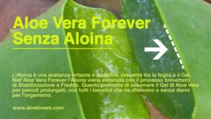 clean-9-forever-c9-forever-controindicazioni-e-effetti-collaterali-aloina-aloelovers
