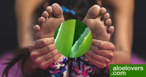 rimedi-naturali-per-la-circolazione-con-aloe-vera-yoga