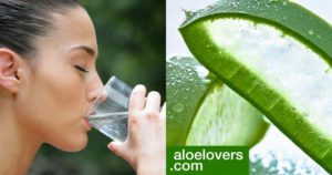 aloe-vera-da-bere-opinioni-e-controindicazioni