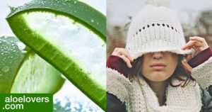 prodotti-naturali-forever-living-main