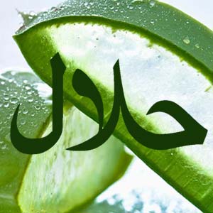 prodotti forever living halal con certificazione islamica per musulmani